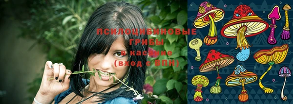 мдма Вяземский