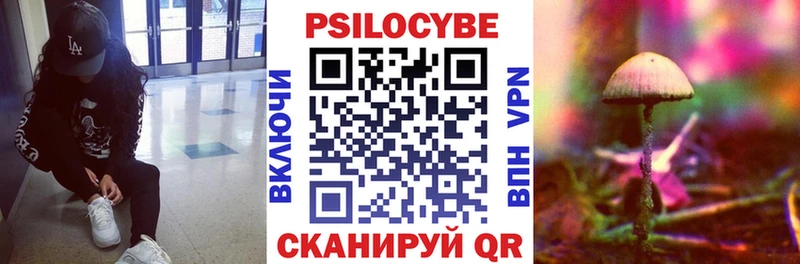 Купить закладки  Северобайкальск  Псилоцибиновые грибы Cubensis 